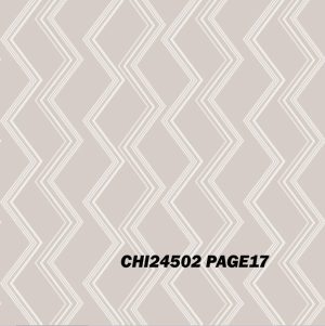 CHI24502