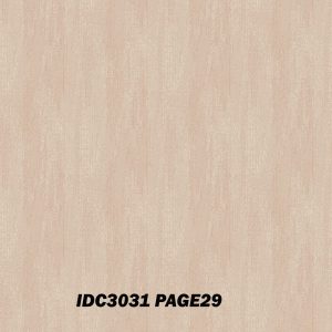 IDC3031