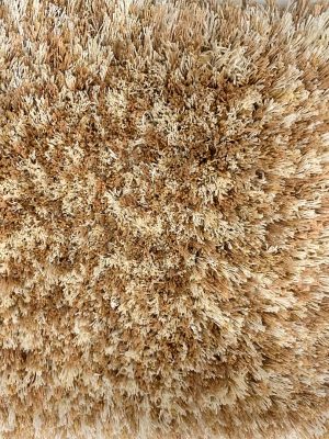 TR-58 SD-2011-161 Ginger