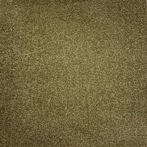 DCG Moss Green Showcase Carpet Center & Co.