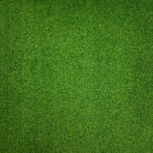 DC-J Fern Green